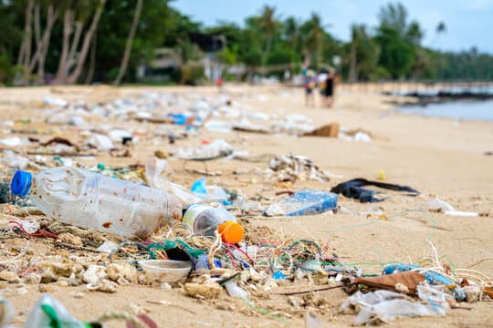 Before: Clean the beach in Freedom island