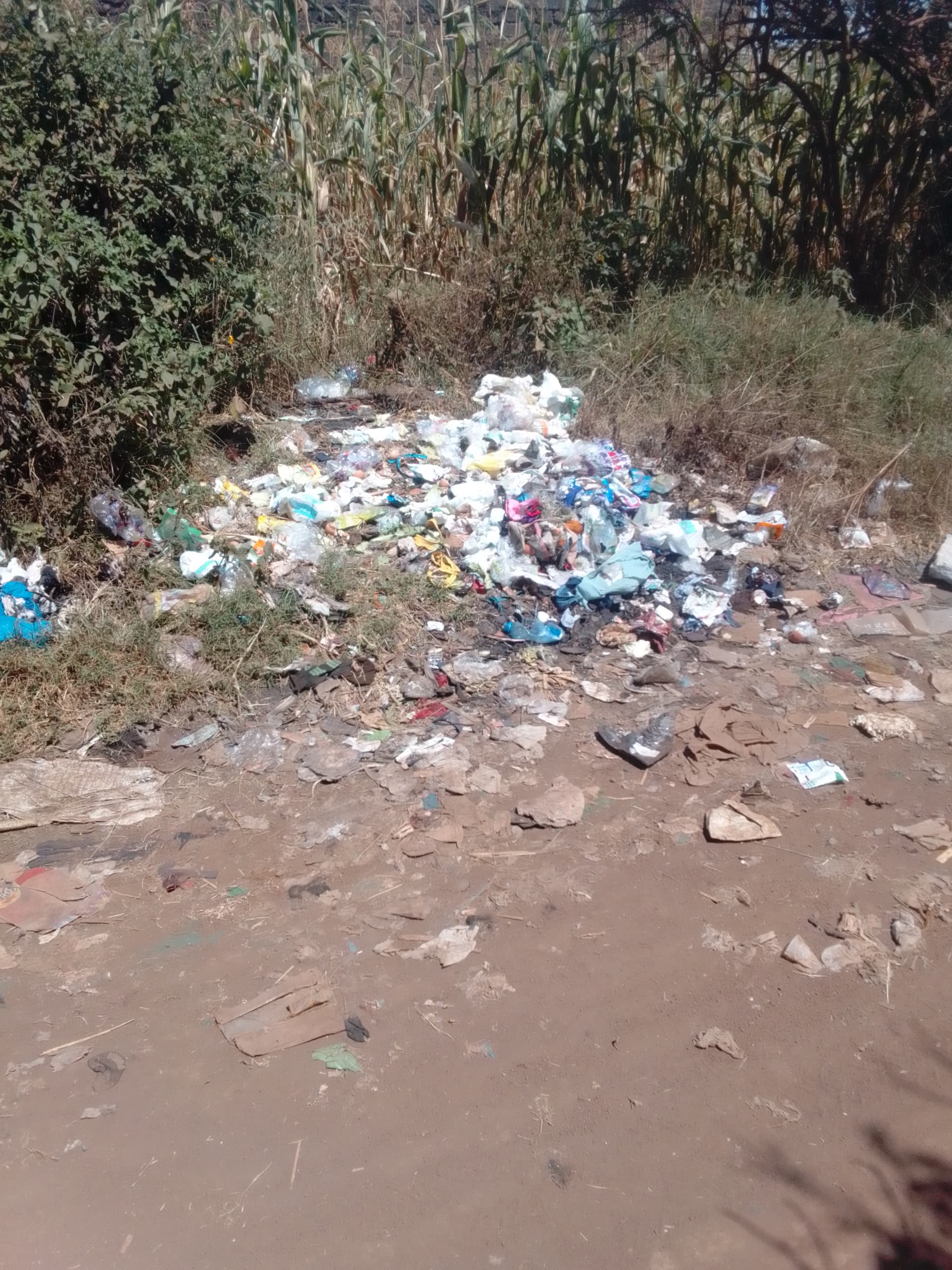 Before: Collection of damped garbage a long residential streets and bush clearing