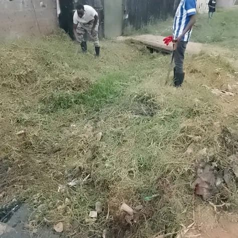 Before: Clear and unclog the drainage