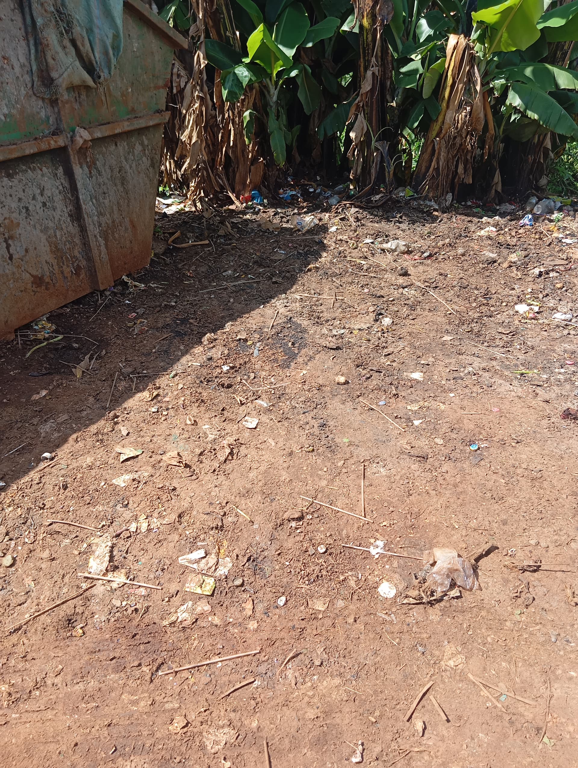 Before: Clean the town