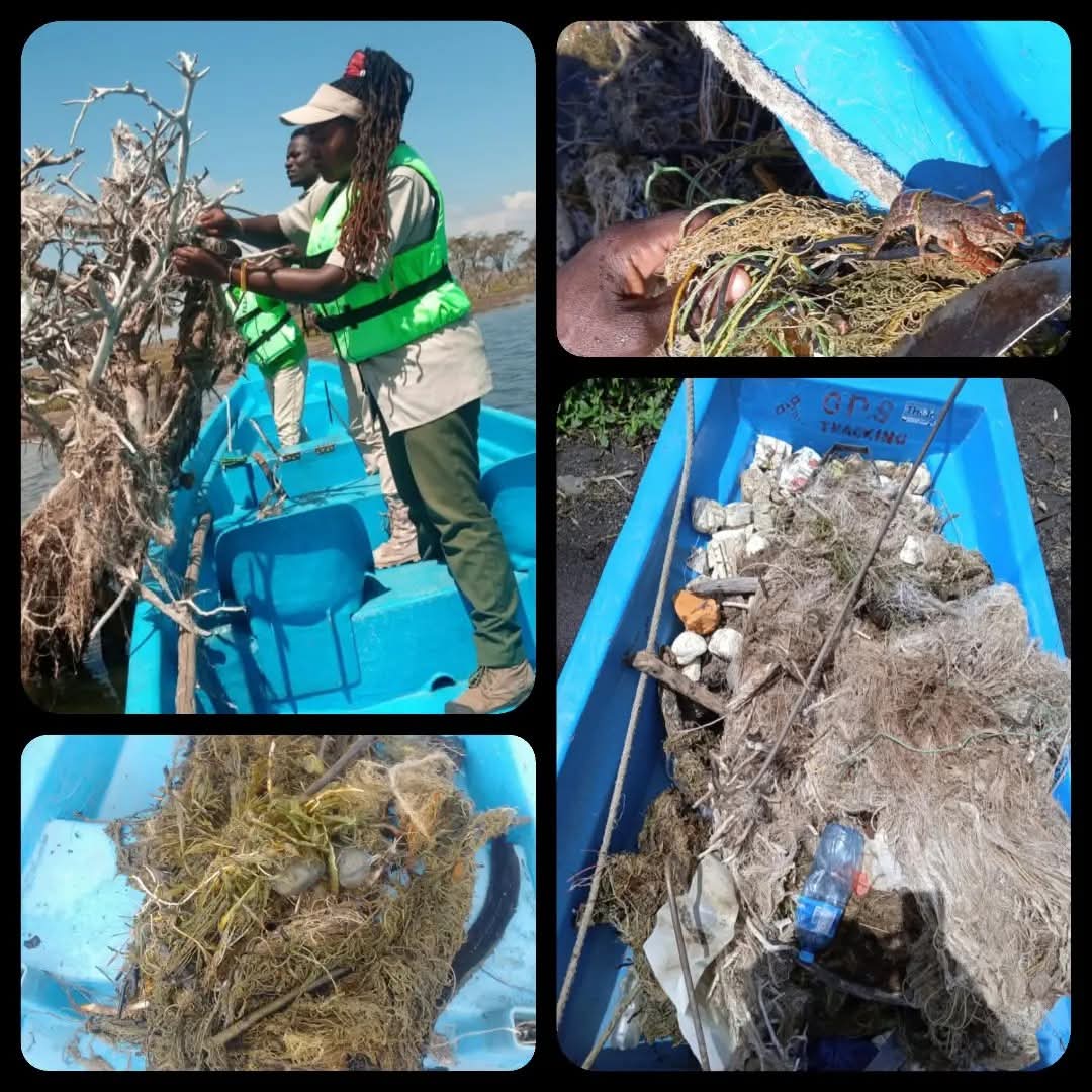Before: Remove about 3500 kilograms of ghost Net and plastics , 254-20117 Naivasha, Kenya