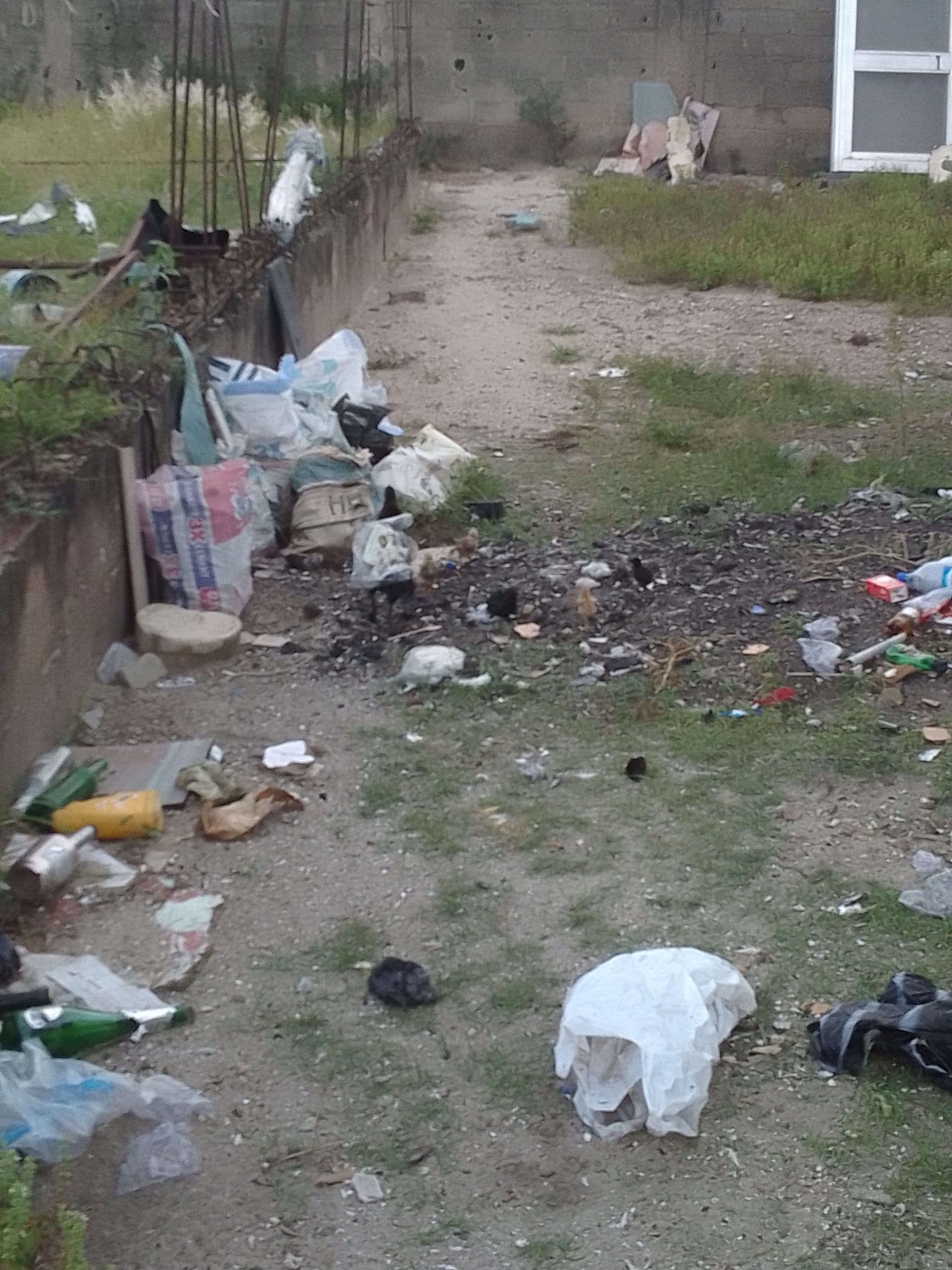 Before: Clearing of refuse dump,and building a pit toilet,to avoid,open defecation.