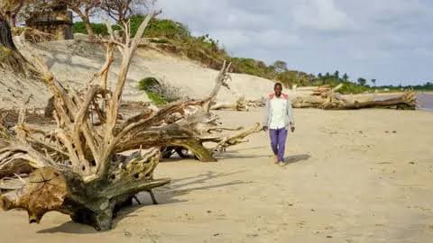 Before: Remove 500kg of collapsed building and trees destroyed by the see waves because of soil erosion