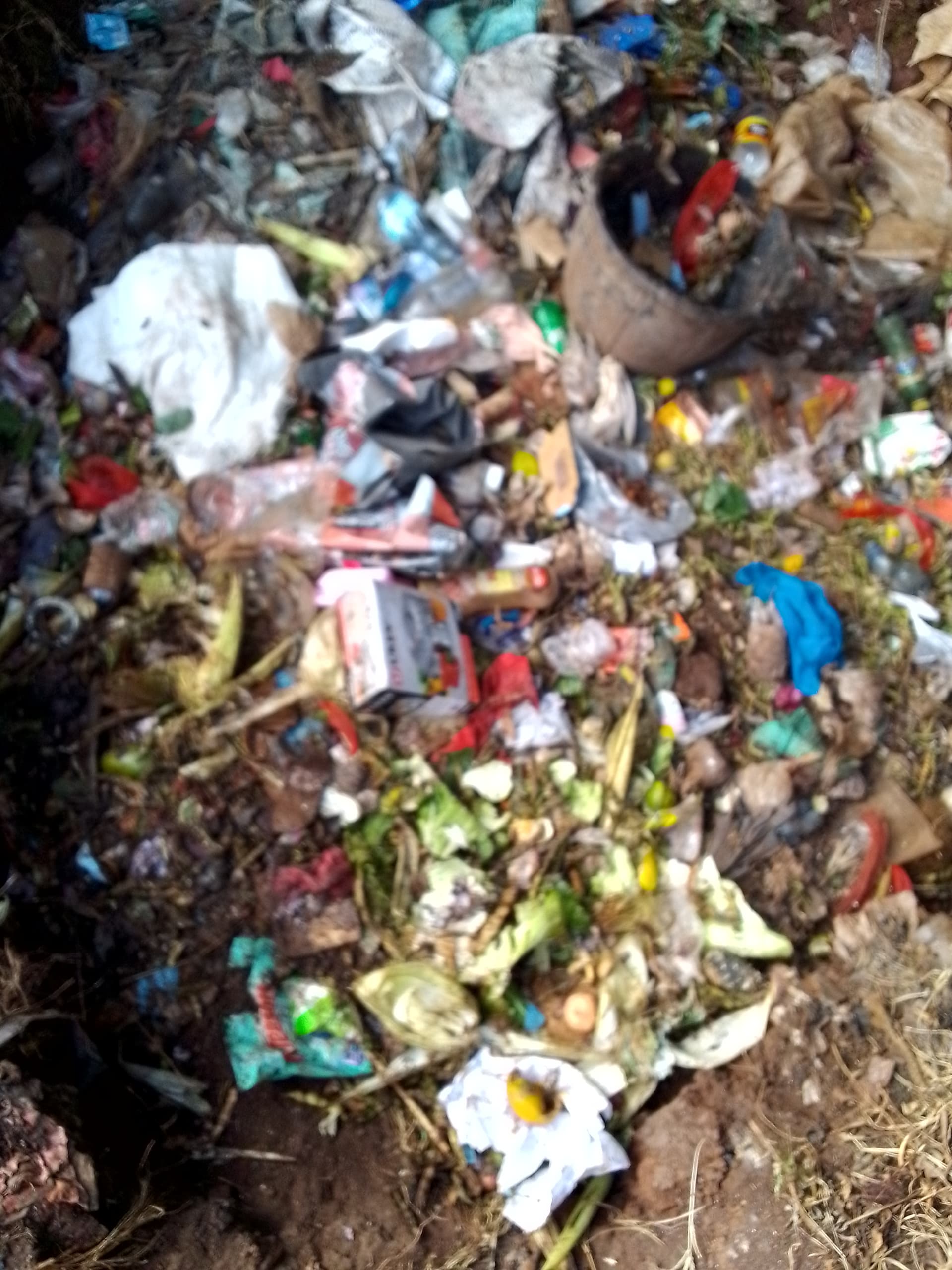 Before: I will be removing 250kg of the trash