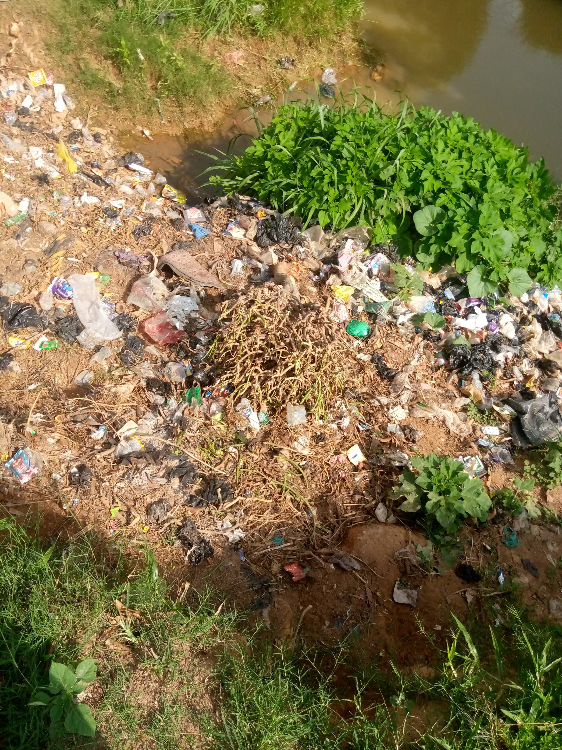 Before: Removal of trash from River in maigero