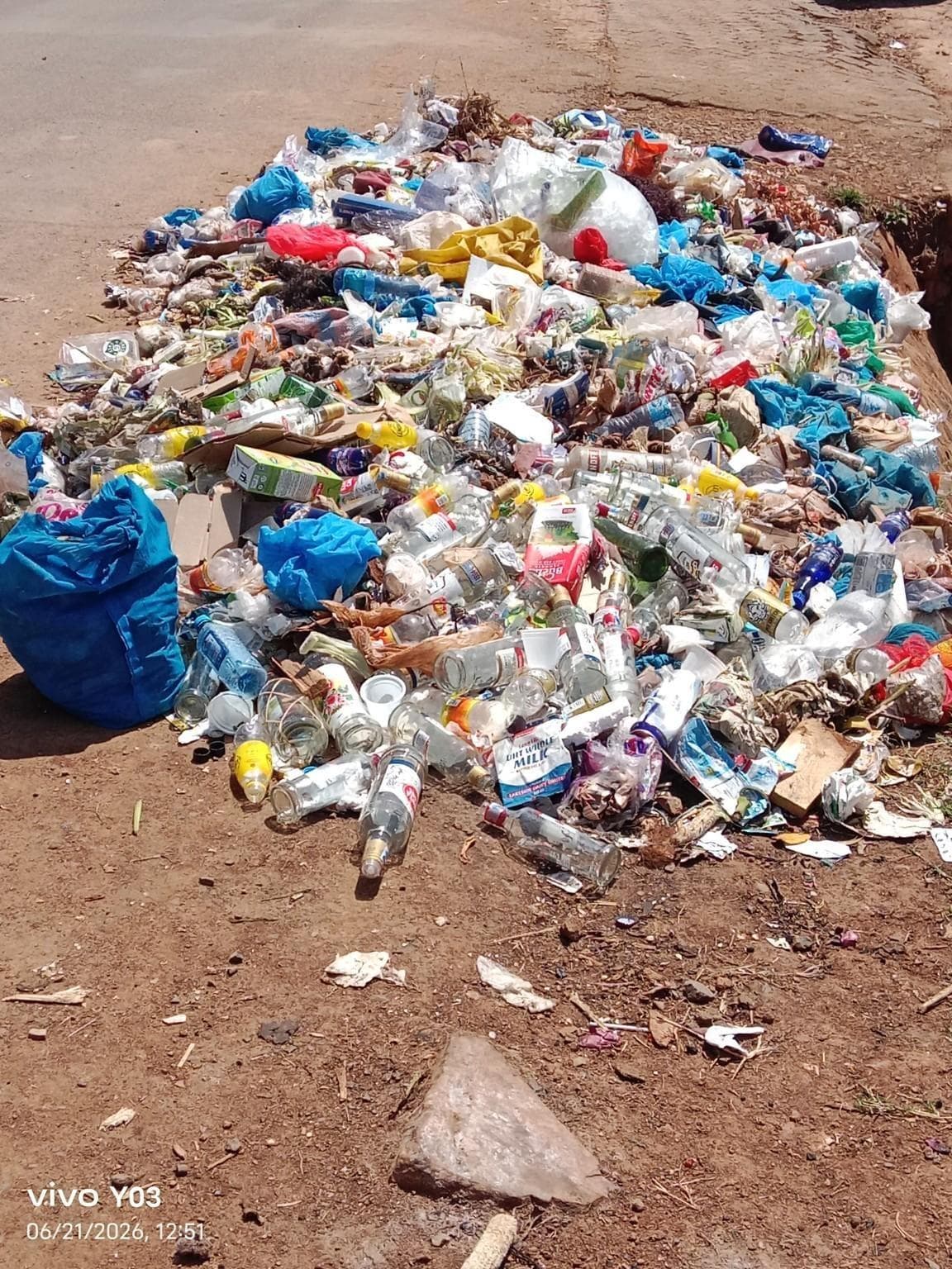 Before: Remove Illegal Roadside Waste Dump and Restore a Clean, Healthy Environment